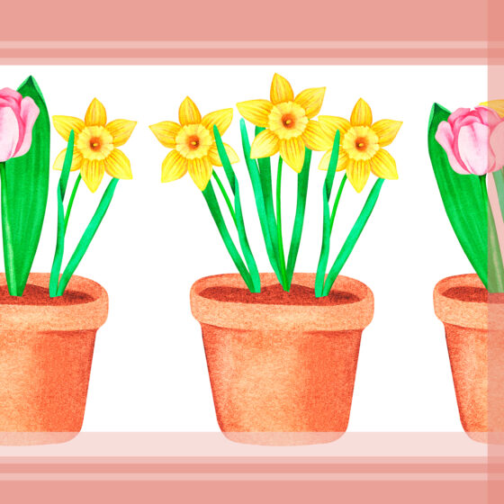 Spring Flowers Spring Skincare