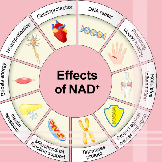 Meet NAD+ — Your Cells’ Best Friend (and Skin’s Secret Weapon!