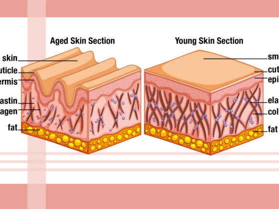 Reverse Ageing Skincare